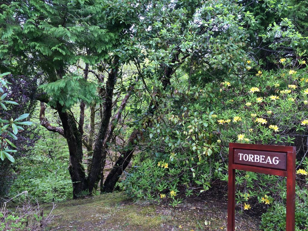 Torbeag House Panzió Fort William Kültér fotó